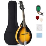 Mahogany Mandolin Instrument