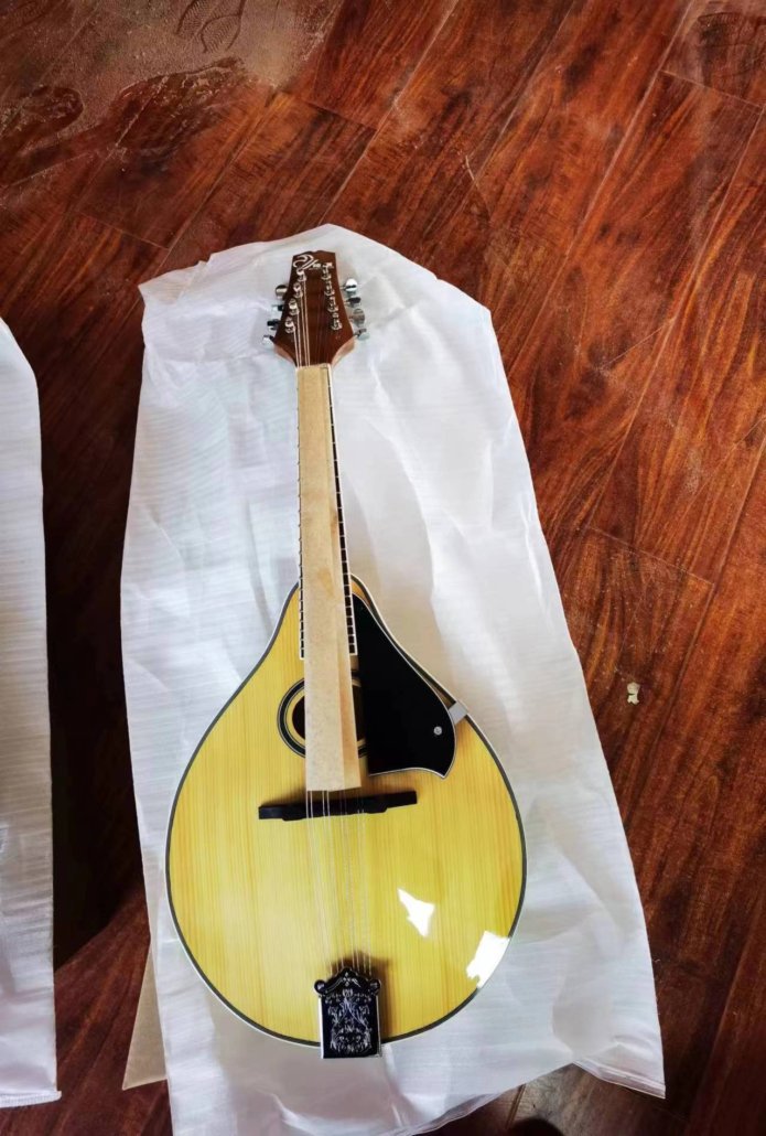 mandolin instrument for sell