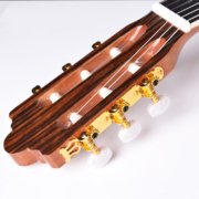 atacado de guitarras elétricas