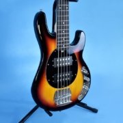 upright 5 Strings electric bass