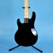 electric stand up bass