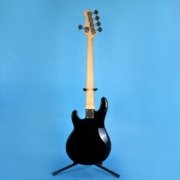 electric standup bass