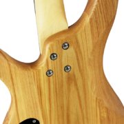 electric standup bass