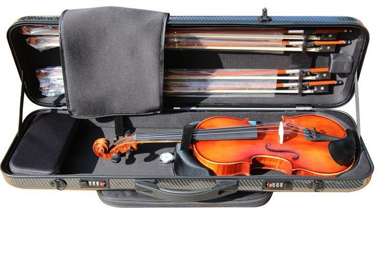 Fiberglass Oblong Violin Case