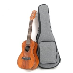 concert ukulele bag