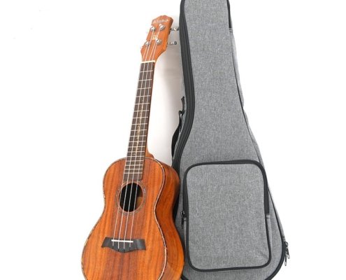 Bolsa para ukelele de concierto