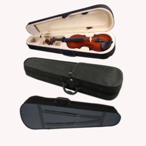 best violin cases