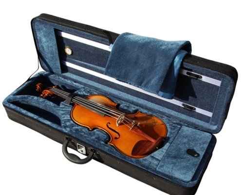 violin case backpack