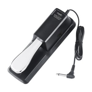 Best Sustain Pedal