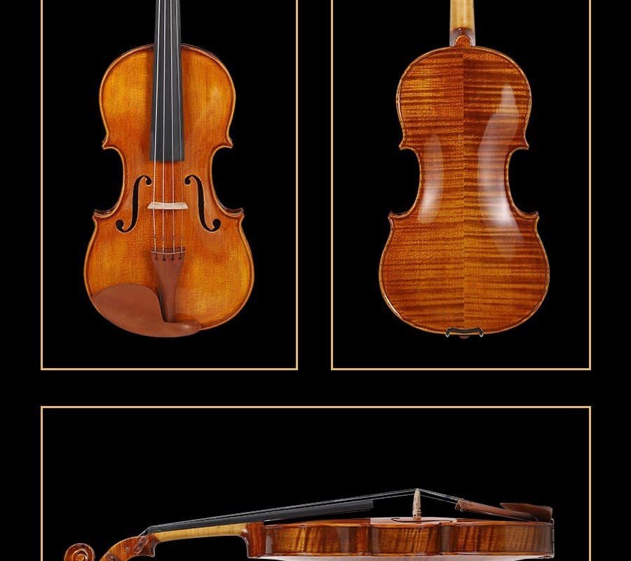 prix du violon professionnel