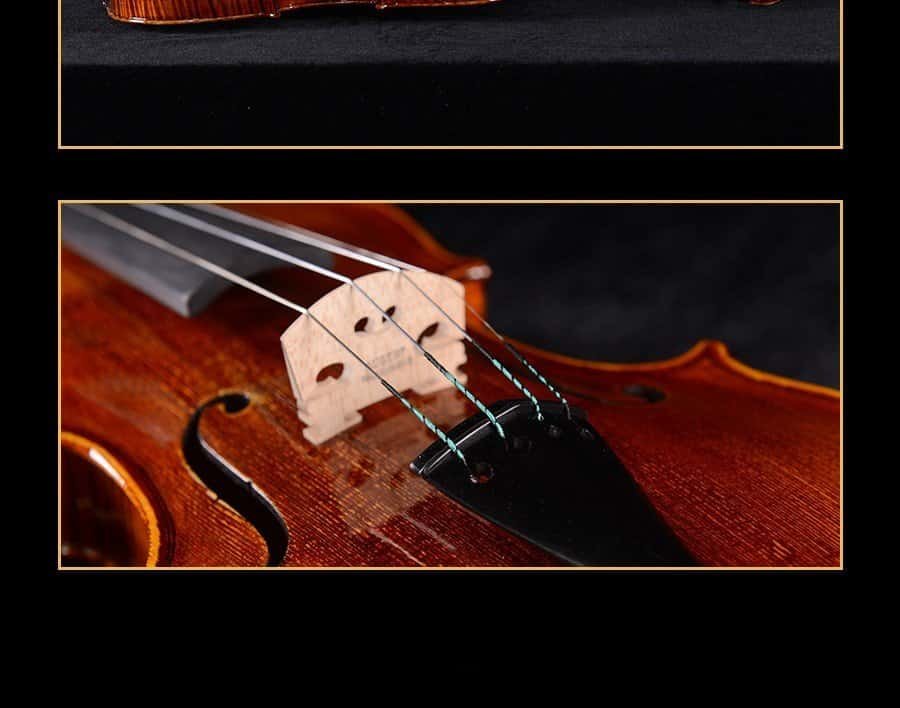 violin musical instrument