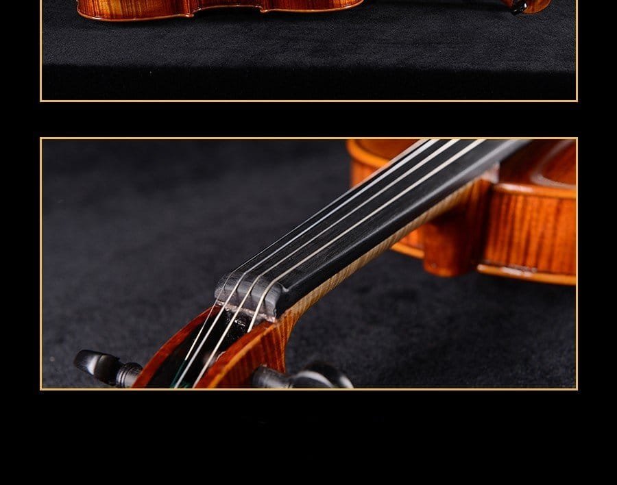 how expensive is a violin