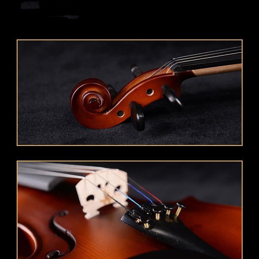 custom violin maker