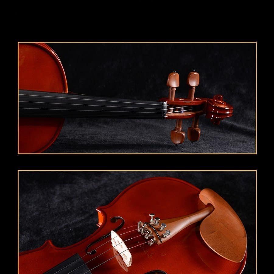 melhores detalhes de violino