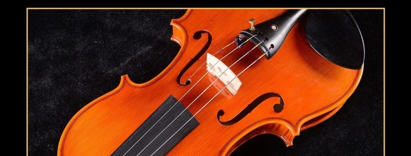 principiante de violín