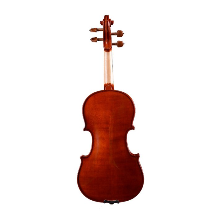 AVL-N03 meilleur violon