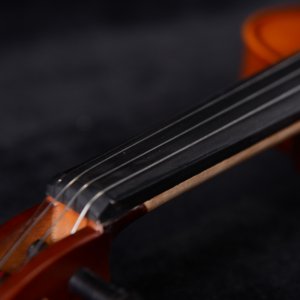 AVL-N05 Custom Violins