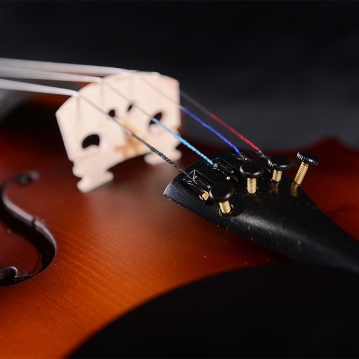 custom violin maker