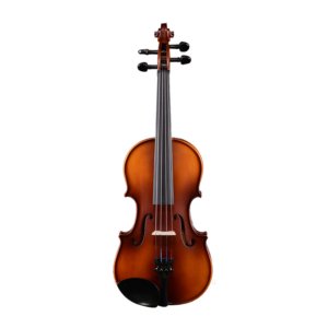 custom violins