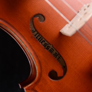 violín 4/4