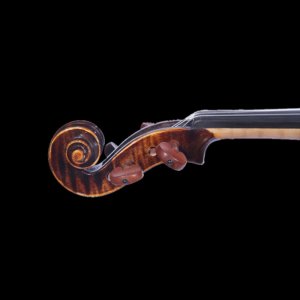 violino de tamanho completo