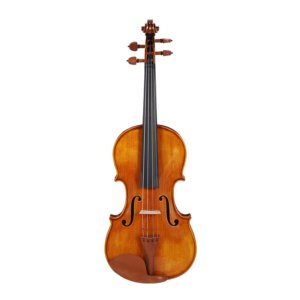 Preço de um violino