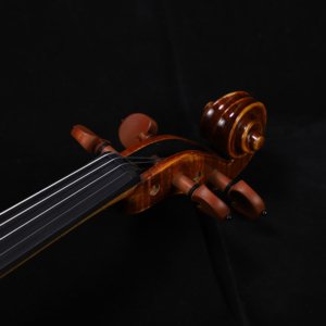 violin price