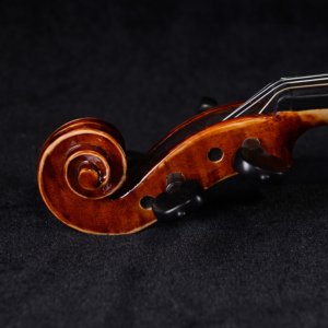 instrument violin