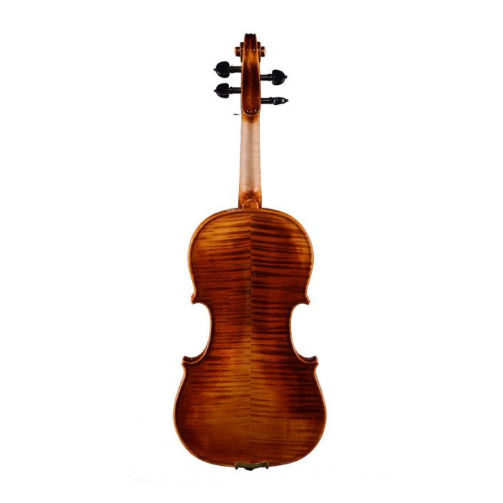 AVL-N51 Expensive Violin