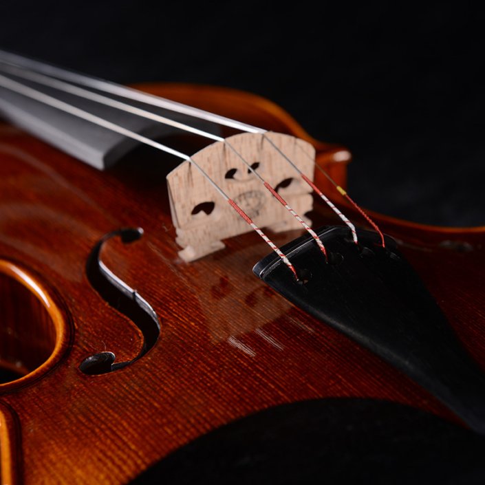 world's most expensive violin