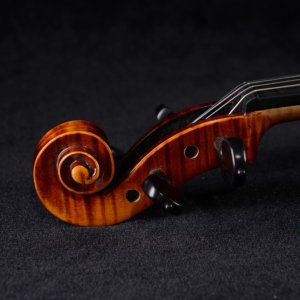 most expensive violin