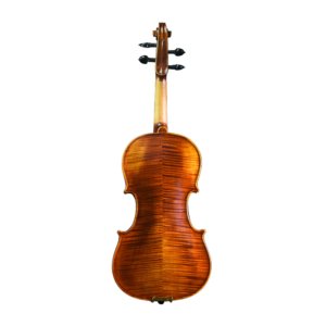 Violon professionnel AVL-N53