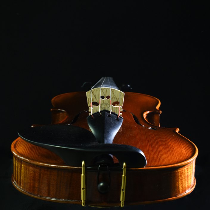 prix du violon professionnel