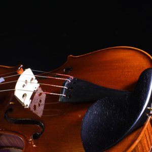 violons professionnels à vendre