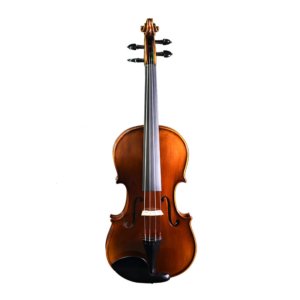 violín profesional