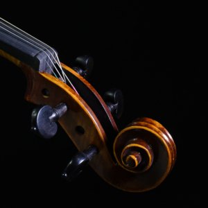 meilleurs violons pour les professionnels