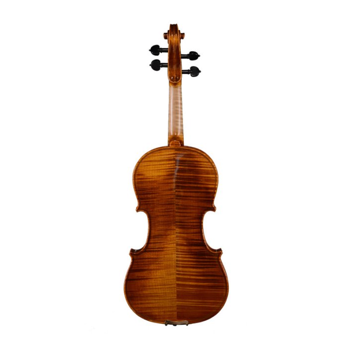 AVL-N66 Most Expensive Violin