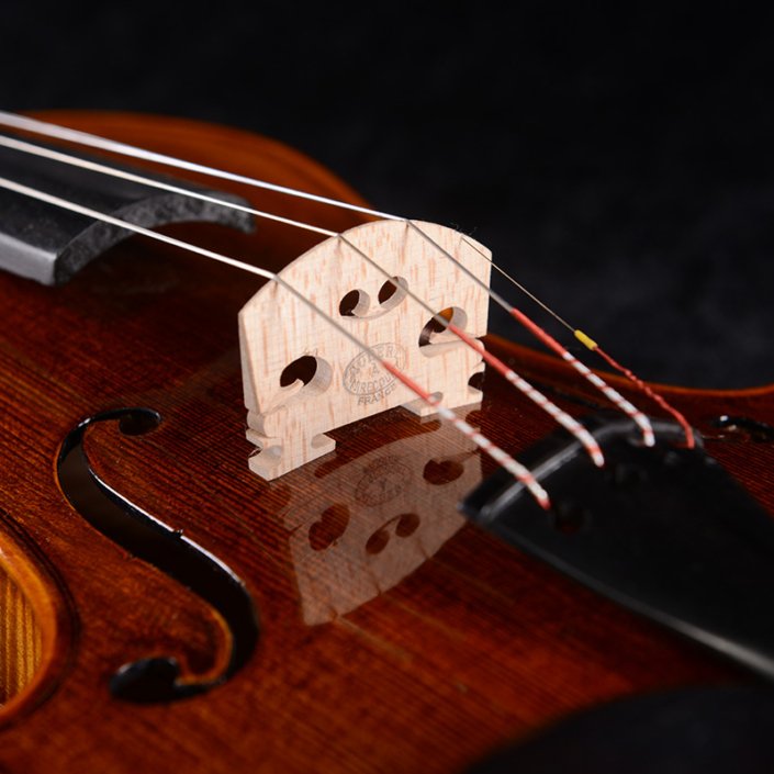 violin expensive