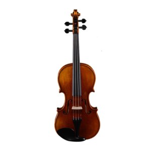 Most Expensive Violin