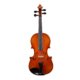 violin with case