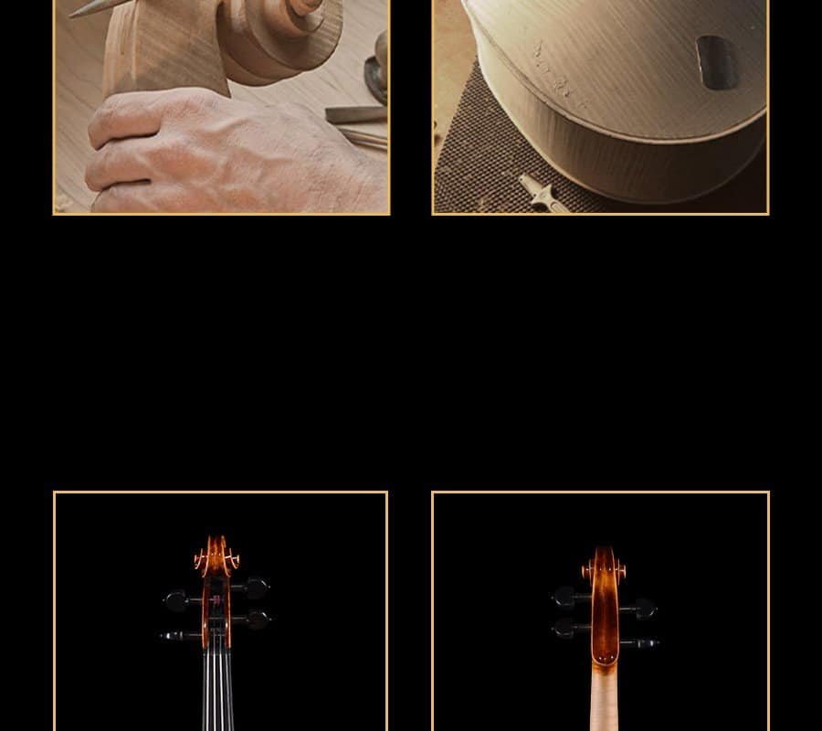 expensive violin