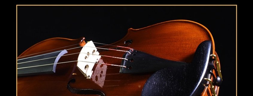 precio violín profesional