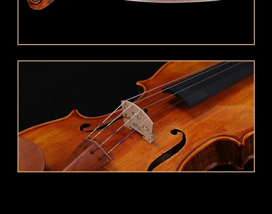 preço de violino para iniciantes