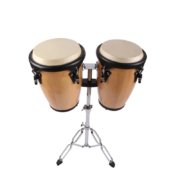 congas instrument