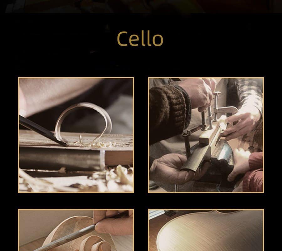 cello for sale beginner