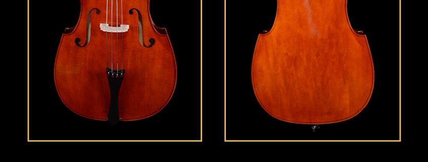 best beginner double bass