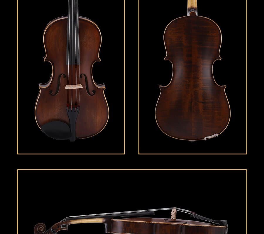 16 viola