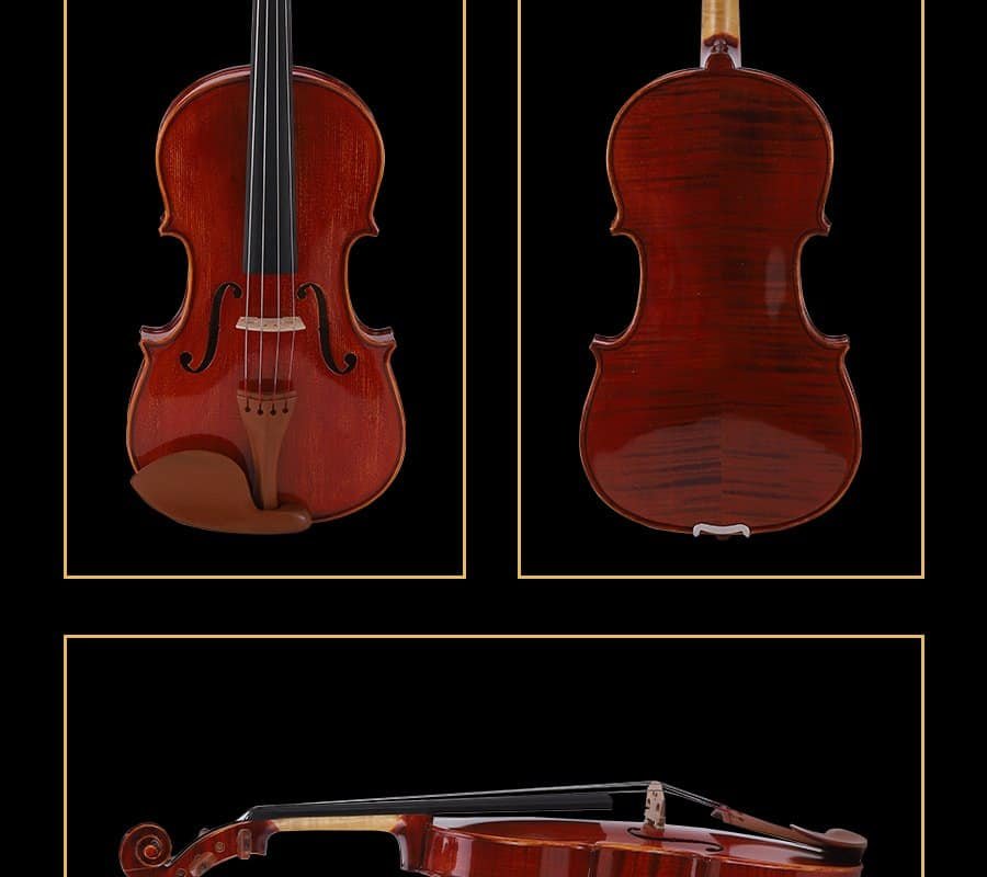 bass viola