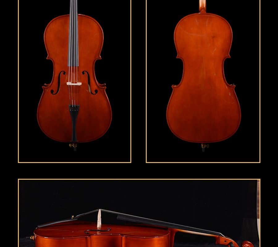 violoncelles débutants