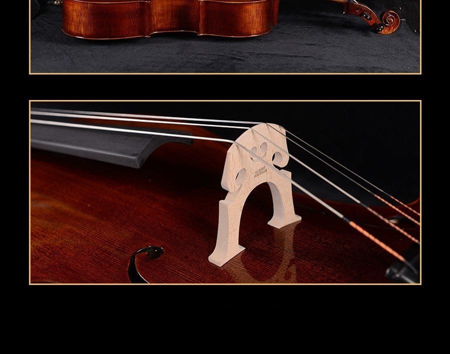 best cello instruments